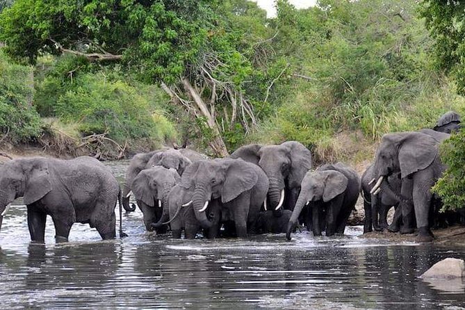 4 Days Joined Group Safari Serengeti,Ngorongoro and Tarangire National Parks - Meals, camping, and what to pack