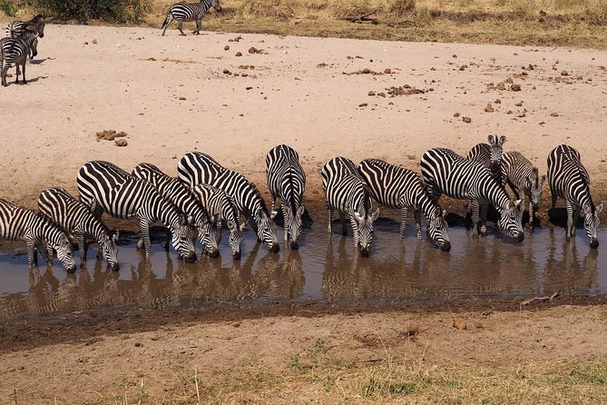 4 Days Joining group budget camp Safari in Serengeti , Ngorongoro and Tarangire - Food, drinks, and the practical extras
