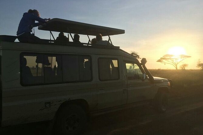 4 Days lodge &camping Tarangire,Serengeti, Ngorongoro Safari Tour - Day 3: A full morning in Serengeti, then toward the crater