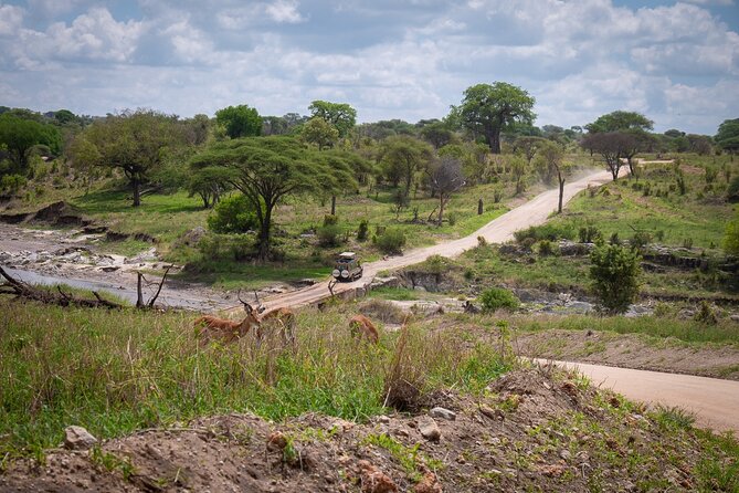 4 Days lodge &camping Tarangire,Serengeti, Ngorongoro Safari Tour - Camping, food, and daily comfort