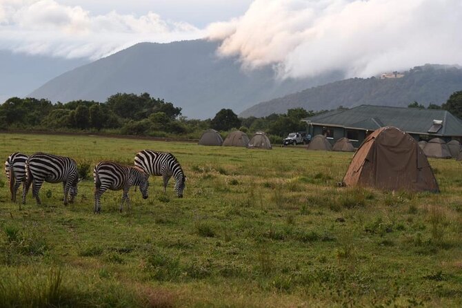 4 Days lodge &camping Tarangire,Serengeti, Ngorongoro Safari Tour - Guides, vehicles, and group size