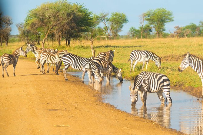4 Days Lodge Safari - What the $1,847.43 price really covers