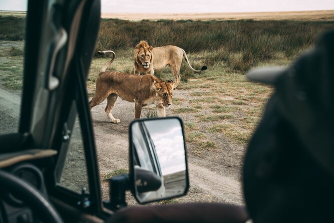 4 Days Lodge Safari in Lake Manyara, Serengeti & Ngorongoro Crater - Day two: The long road to the Serengeti
