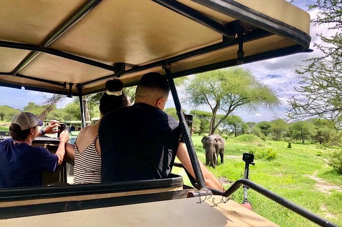 4 Days lodge safari Tarangire , Ngorongoro crater & Walking - Day 4: Mto wa Mbu farms, Maasai culture, and biking
