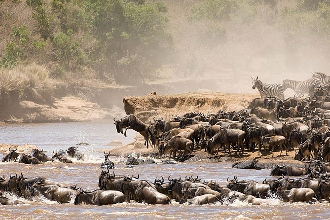 4 Days Luxury Lodge Safari Tour Tanzania - Day 1: Tarangire’s elephants after breakfast