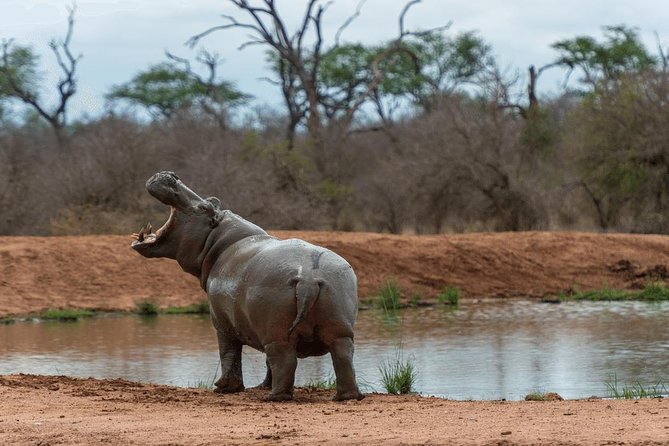 4 Days Luxury Lodge Safari Tour Tanzania - Comfort, food, and the daily rhythm