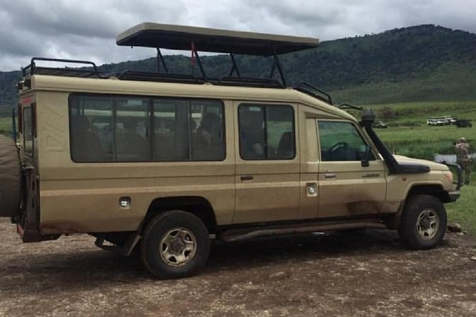 4 days luxury safari (a dream experience) - Day two: a full Serengeti wildlife day