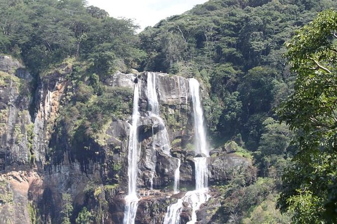 4 Days Mikumi & Udzungwa National Parks Safari - What the $1,200 price buys you