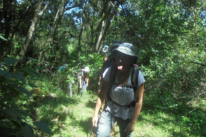 4 Days Mount Meru Climbing | Hiking | Trekking Tour - A shorter walk out on day four