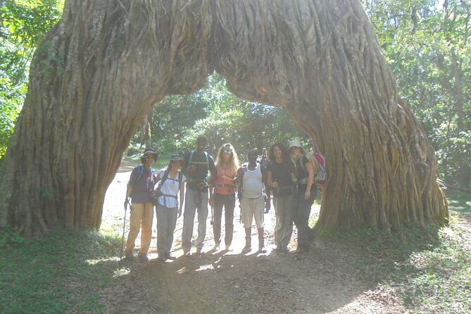 4 Days Mount Meru Climbing | Hiking | Trekking Tour - Who should choose this four-day route
