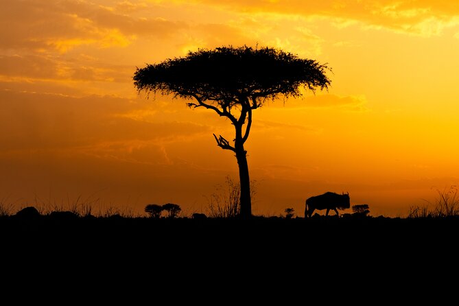 4 Days Private Arusha National Park, Serengeti, Ngorongoro Tour - Day 1: Walking beneath Mount Meru in Arusha National Park