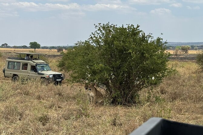 4 Days Private Arusha National Park, Serengeti, Ngorongoro Tour - Small practical details that make a difference