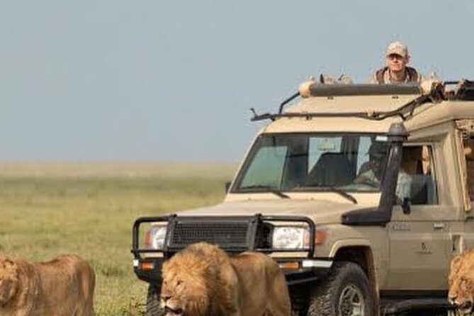 4 Days Private Arusha National Park, Serengeti, Ngorongoro Tour - Day 2: The long road into central Serengeti