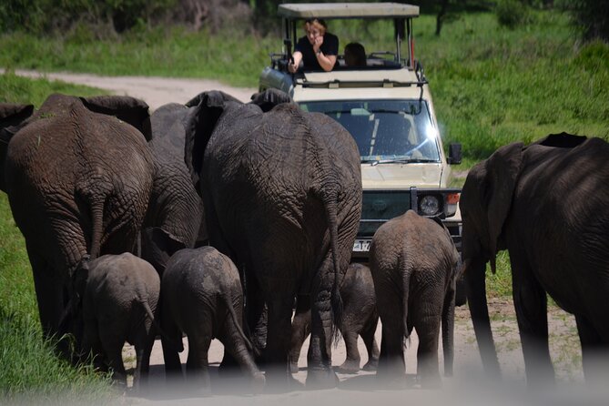 4 Days Private Midrange Lodge Safari to Serengeti & Ngorongoro - Day 2: The long road into Serengeti