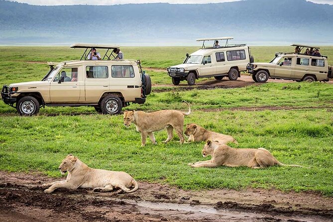 4 Days Private Midrange Lodge Safari to Serengeti & Ngorongoro - Meals, lodges, and the real value of the price