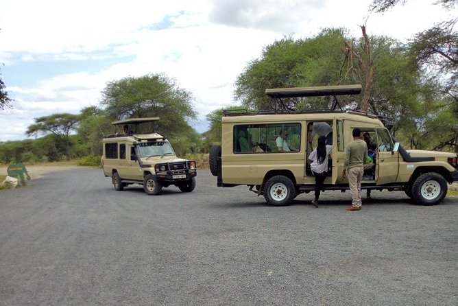 4 Days Private Midrange Lodge Safari to Serengeti & Ngorongoro - Day 1: Elephants and baobabs in Tarangire