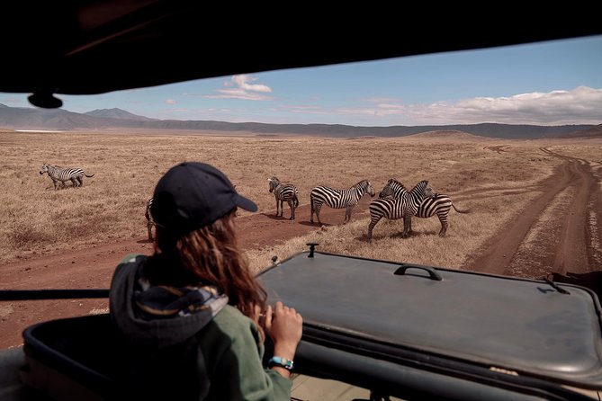 4-Days Private Midrange Safari Tarangire, Serengeti & Ngorongoro - What the private format really gives you