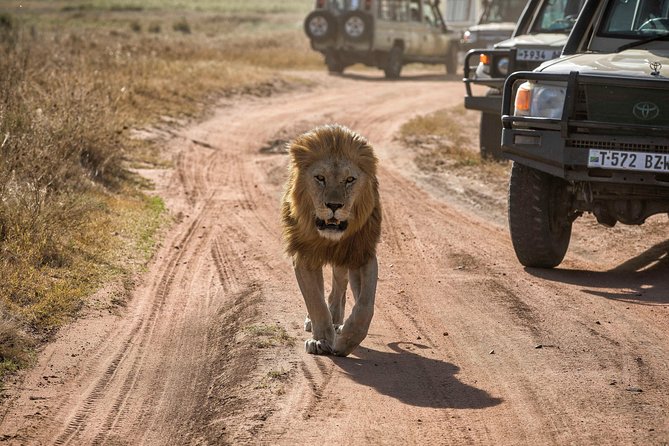 4-Days Private Midrange Safari Tarangire, Serengeti & Ngorongoro - Is $2,596.07 per person fair value?