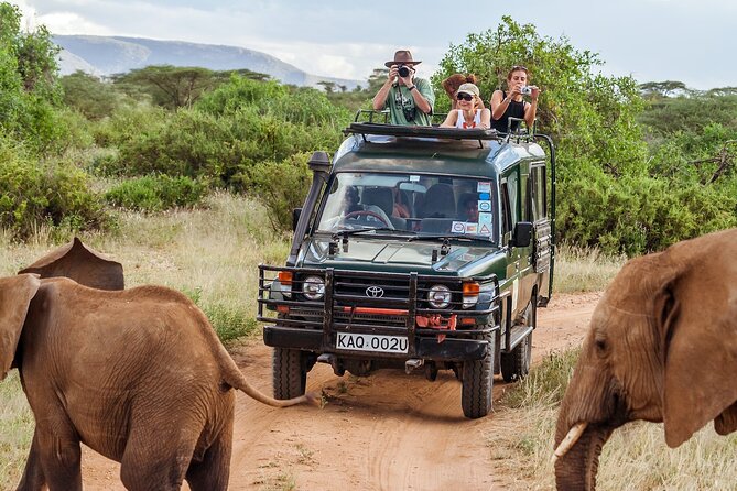 4-Days Private Midrange Safari Tarangire, Serengeti & Ngorongoro - Day 2: The long road to the Serengeti
