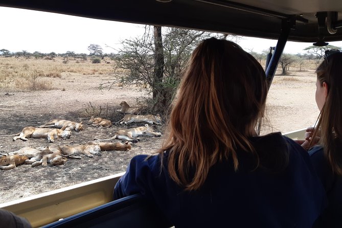 4-Days Private Midrange, Tarangire Ngorongoro, Manyara & Materuni - Day 1: Lake Manyara’s forest and birdlife