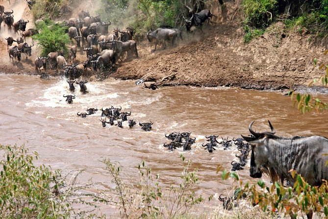 4 Days Private Migration Midrange Safari - Why this safari works for migration seekers