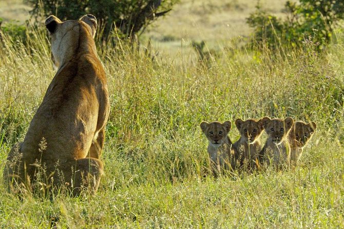 4 days safari in Tanzania - Meals, lodging, and the meaning of all-inclusive