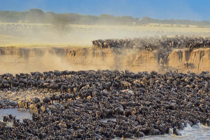 4 days safari in Tanzania - Group size, transport, and daily comfort