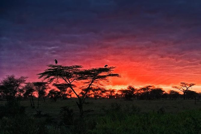 4 days Safari Lake Manyara, Ngorongoro crater and Serengeti - What the $2,650 price includes