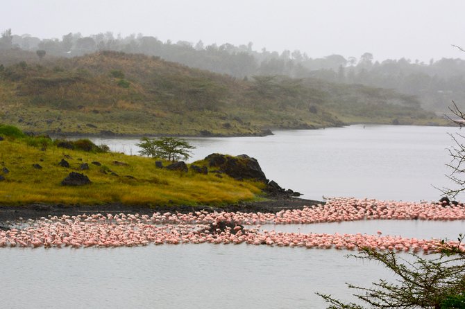 4 days Safari Lake Manyara, Ngorongoro crater and Serengeti - The guide and support make a practical difference