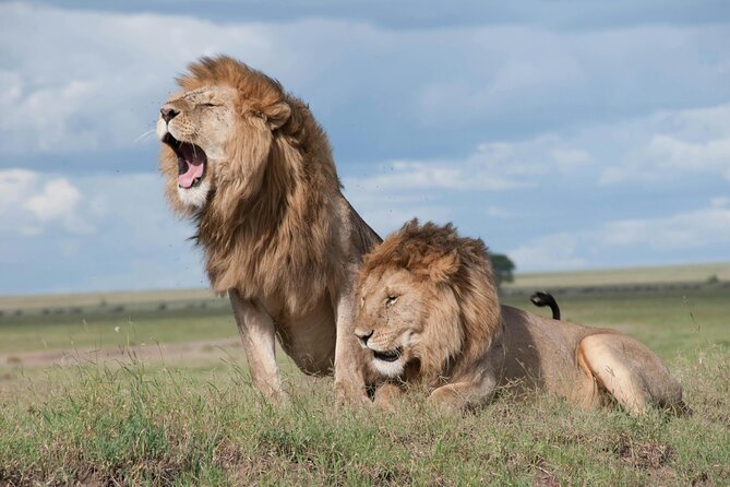 4 Days Safari Tour at Tarangire, Serengeti and Ngorongoro Crater - Key points to know before booking