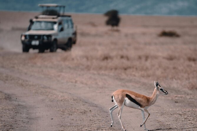 4 Days Safari Tour at Tarangire, Serengeti and Ngorongoro Crater - Is $2,274 per person good value?