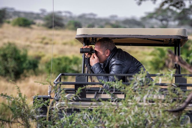 4 Days safari Tour Tanzania - What this four-day Tanzania safari is really like