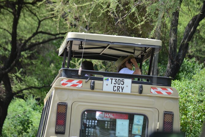 4 days serengeti & ngorongoro mid range tour - What this four-day safari is really like