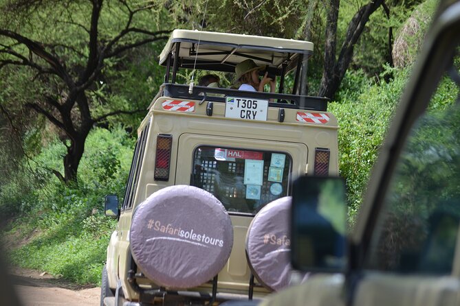 4 days serengeti & ngorongoro mid range tour - Day 2: Ngorongoro views, Maasai culture, and the Serengeti road
