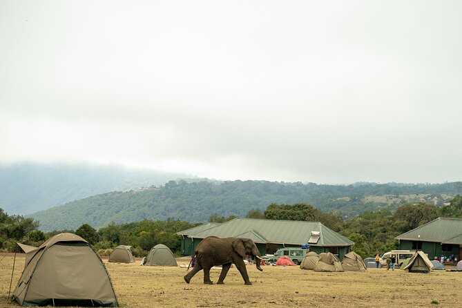 4 Days Tanzania Budget Safari - Camping, meals, and the practical comfort level
