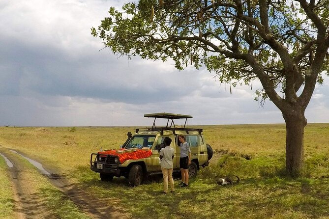 4 Days Tanzania Budget Safari - The guide, vehicle, and private format