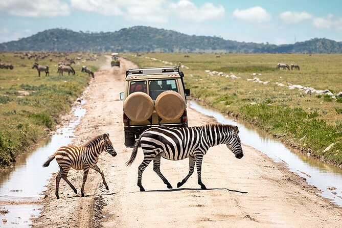 4 Days Tanzania Camping Safari - The private 4x4 makes a real difference