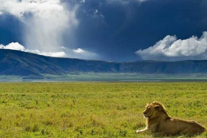 4 days Tanzania Camping Safari - Long drives, early starts, and the real pace