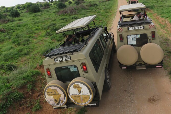 4 Days Tanzania Group Joining Safari with Mid-range Accommodation - Serengeti predators and the long road to the crater