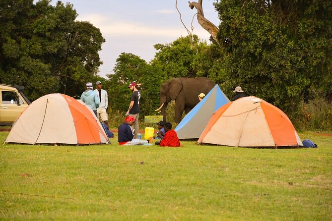 4 days Tanzania group safari to Serengeti, Crater and Tarangire - Ngorongoro Crater: a short, intense wildlife day