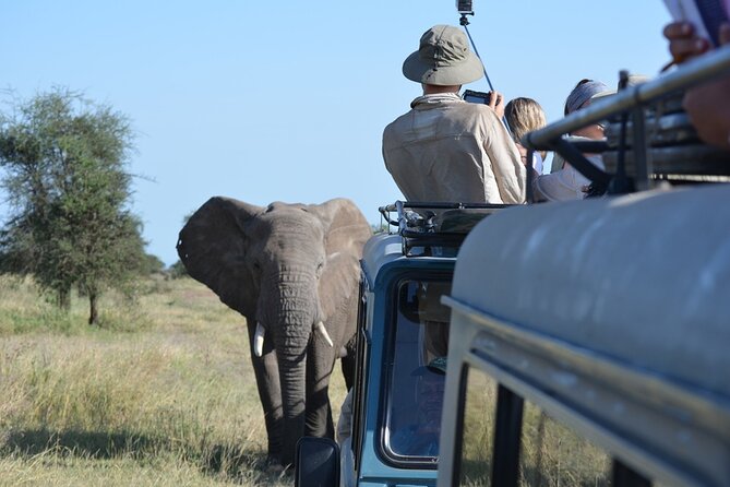 4 Days Tanzania Lodge Safari With Two Nights at Serengeti - Day 2: Crossing the highlands into central Serengeti