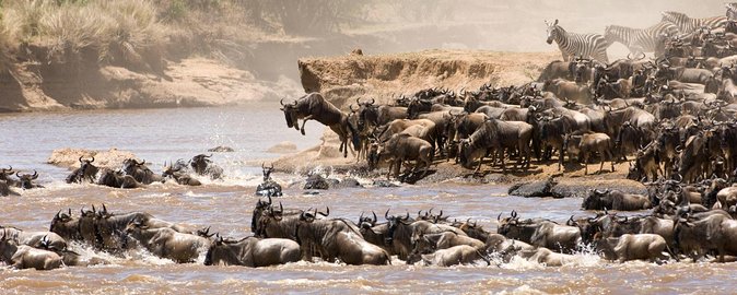 4 Days Tanzania Luxury Safari Serengeti and Ngorongoro Crater - The $1,900 price and what it really buys
