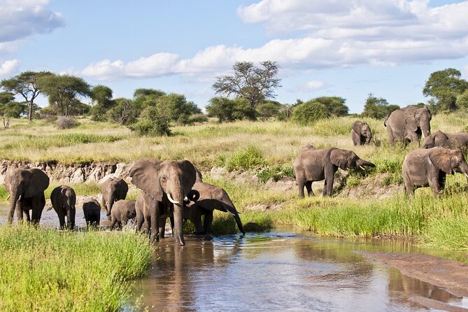 4 Days Tanzania National Parks Private Safari from Zanzibar - What the $2,150 price includes