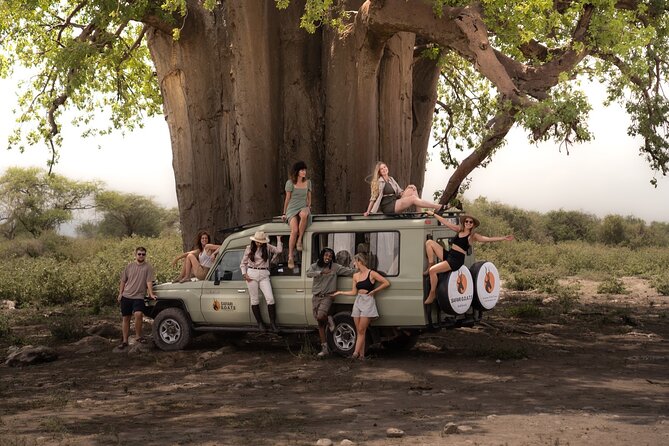 4 Days Tanzania Private Lodge Safari - Day 4: descending into Ngorongoro Crater