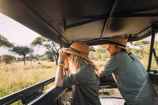 4 Days Tanzania Private safari to Serengeti ,ngorongoro crater and Tarangire - Day 1: Tarangire and its elephant country