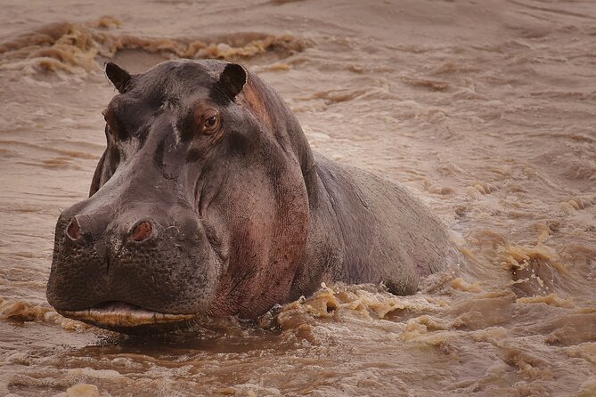 4 Days Tanzania Safari - What makes the guiding important