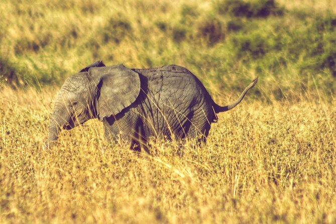 4 Days Tanzania Safari - Is $930 a fair price?