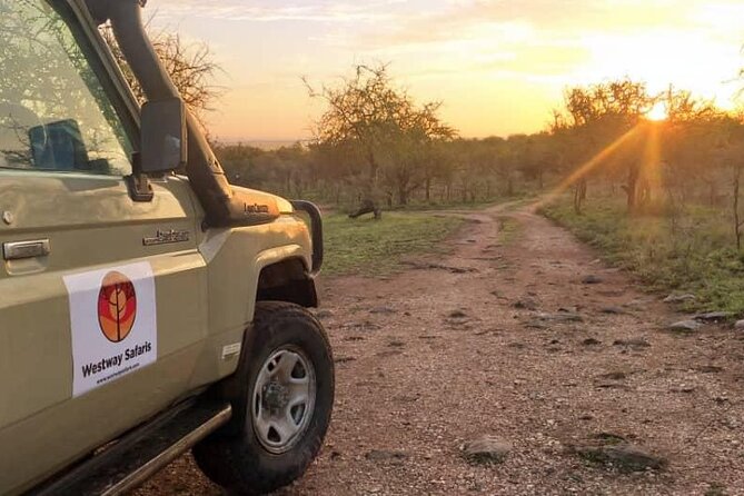 4 Days Tanzania Safari Experience - Day 1: Arriving in Arusha from Kilimanjaro Airport