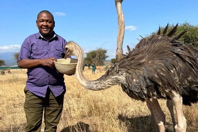4 Days Tanzania Safari Tarangire, Serengeti and Ngorongoro Crater - Comfort, pace, and what to pack