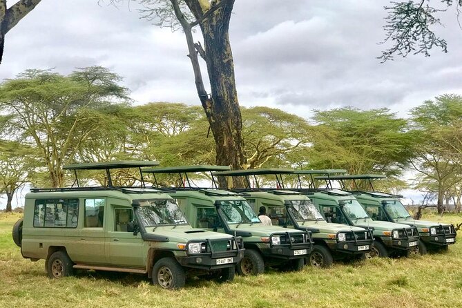 4 Days Tanzania Safari Tour - Transport, comfort, and the pace of the road